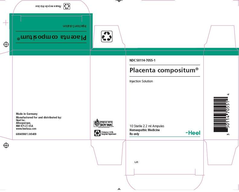 Placenta Compositum